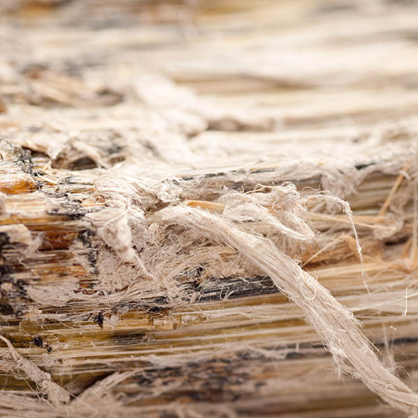 Asbestos Exposure Compensation Claim Specialists / No Win, No Fee / Personal Injury Solicitors Leicester