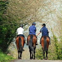 Equestrian Accident Claims Leicester